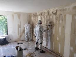 Best Mold Documentation for Insurance Claims  in Jackson, GA